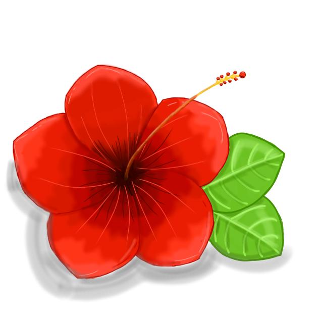 🌺🌿 Hibiscus Flower🌿🌺 - ibisPaint