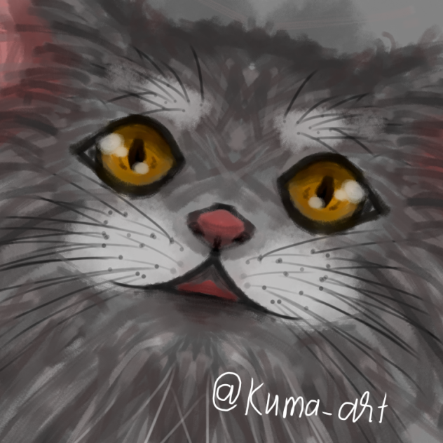 Drawing cat - ibisPaint