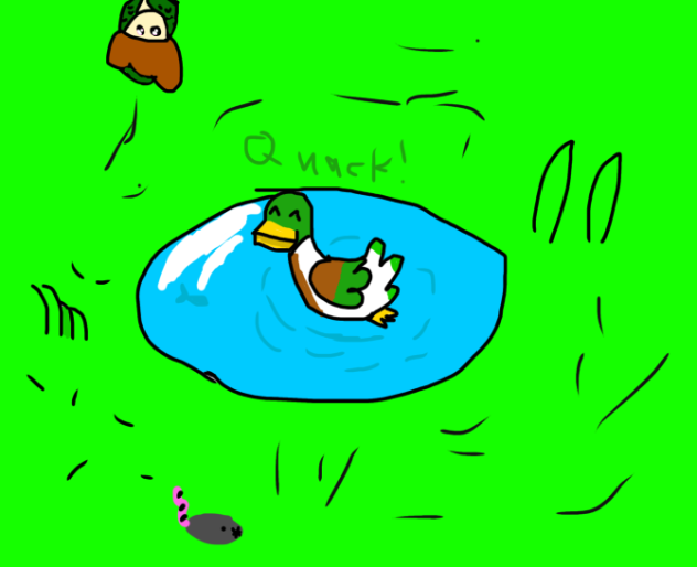 Duck