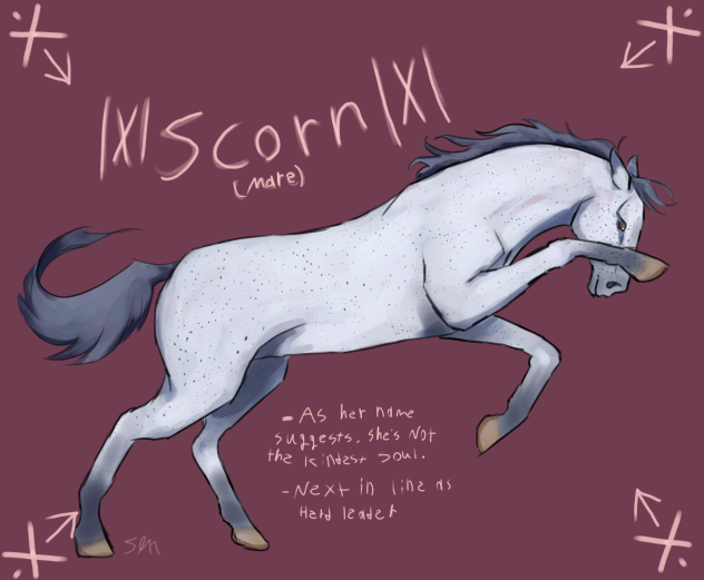 X Scorn X