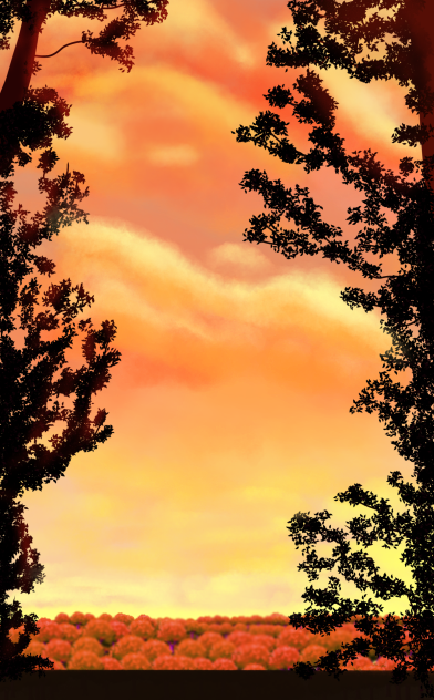 autumn scenery2