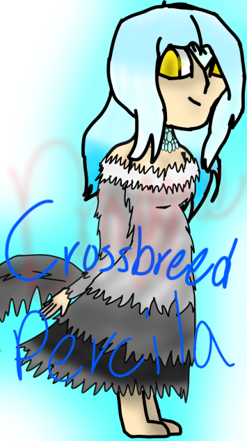 Crossbreed Percila