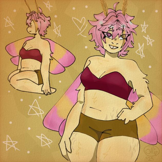 rosy maple moth 🩷💛