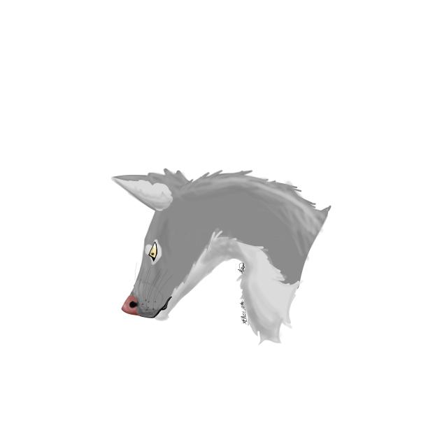 Wolf in my style
