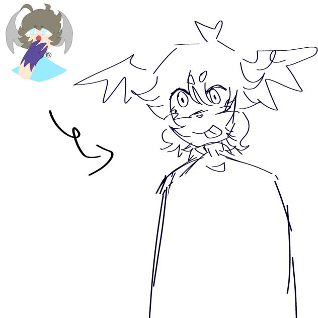 2020 redraw