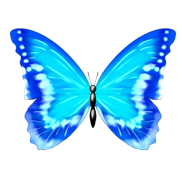 モルフォチョウのヘアピントップ