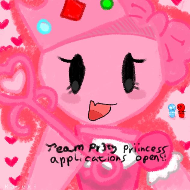 Team Pr3typriincess Applications open!