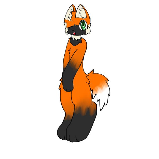 New oc