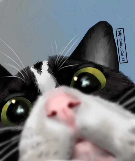 meeeewwrrrr