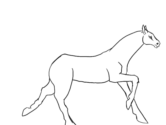 I'm a horse girl confirmed W.I.P