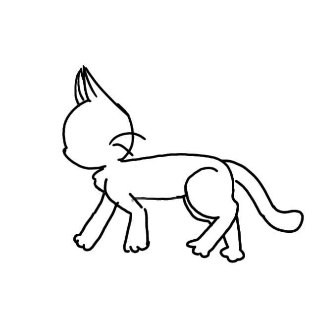 cat animation