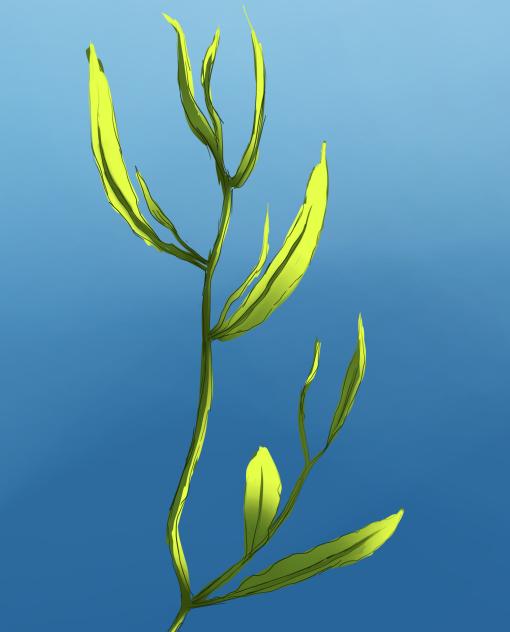 Plant