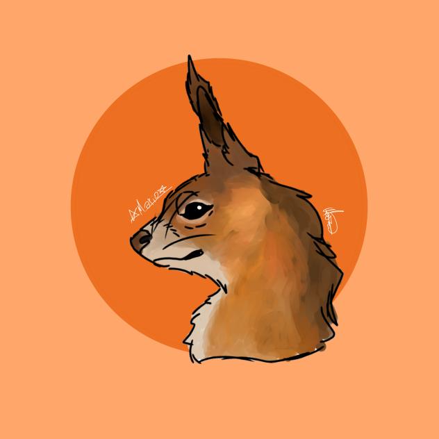 squirrel pfp (redraw)