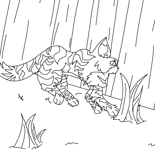 cat (outline)