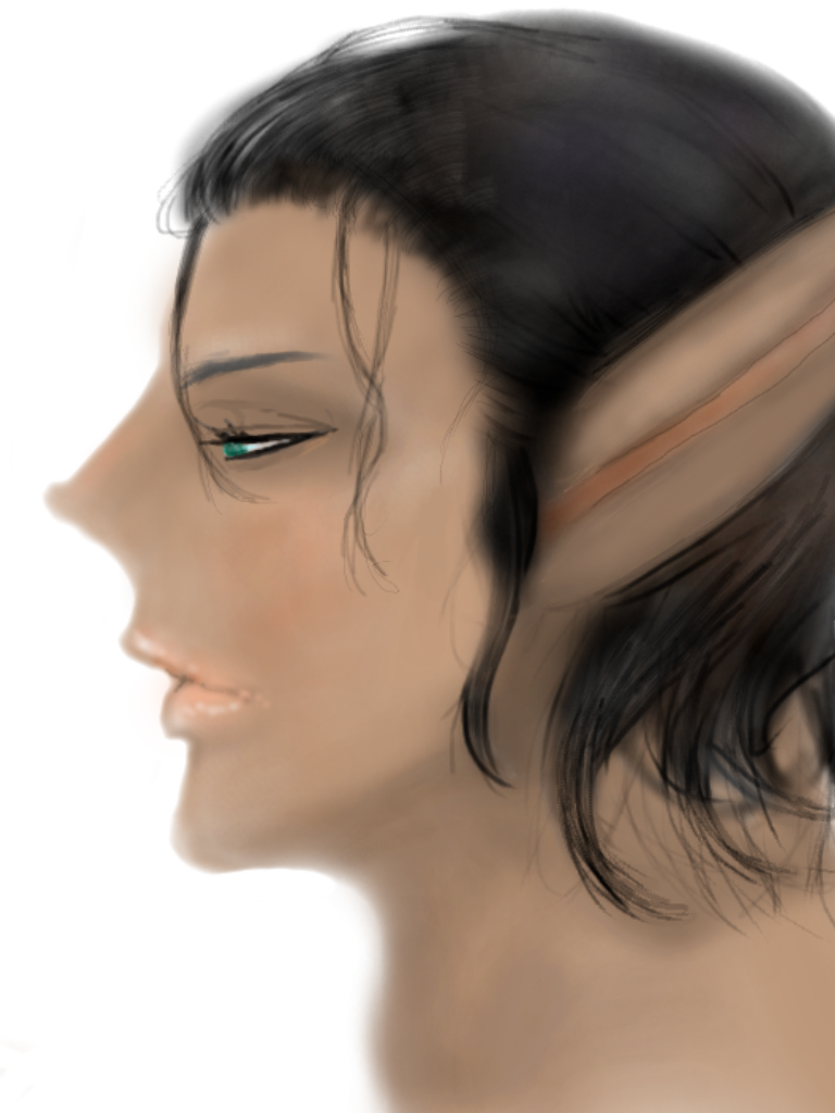 elf - ibisPaint