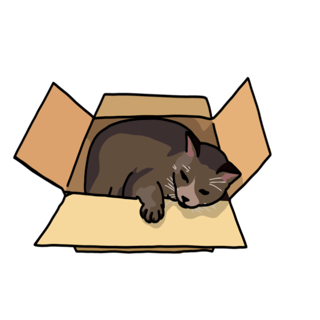 cat lol