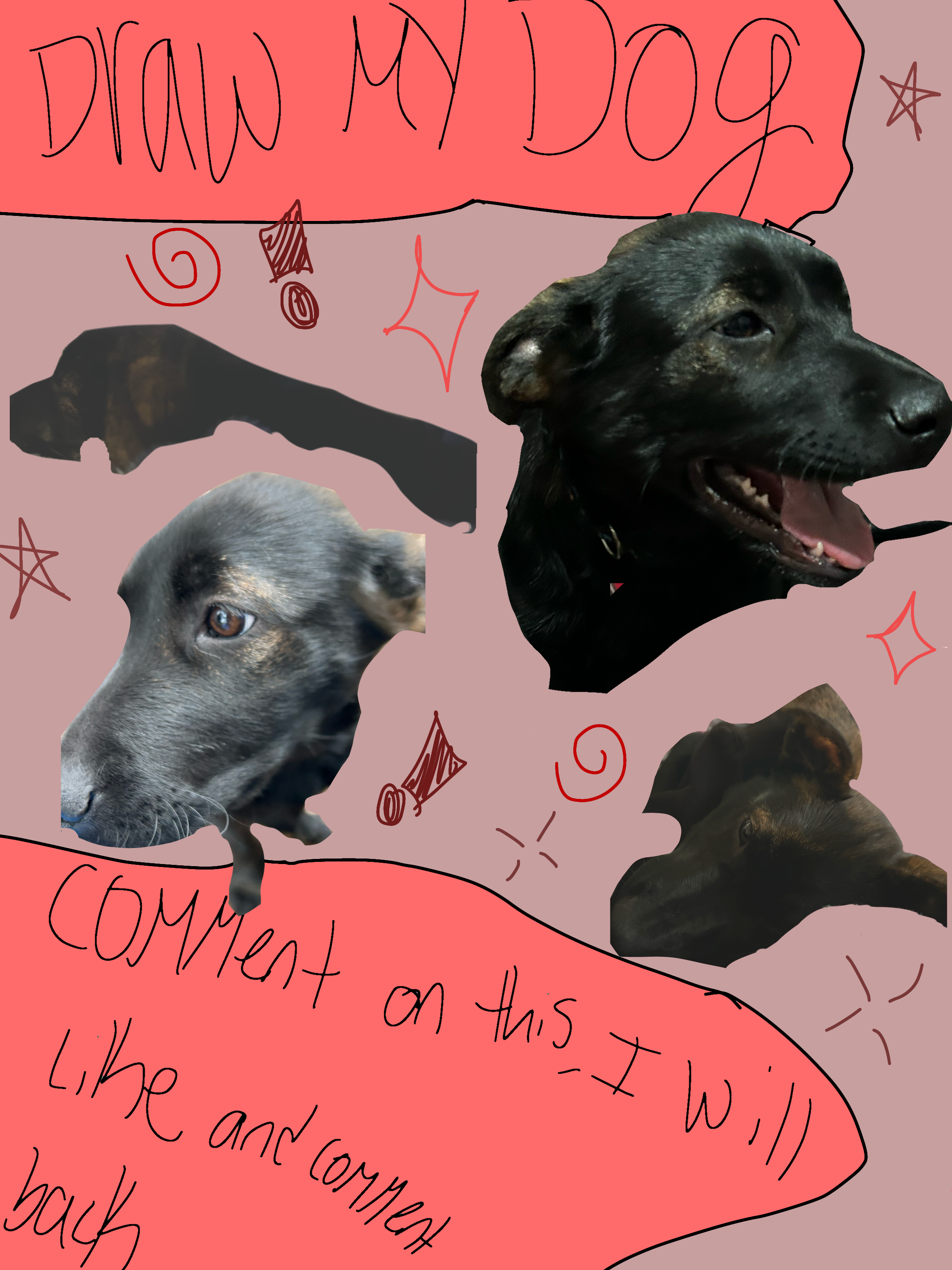Draw my dog - ibisPaint