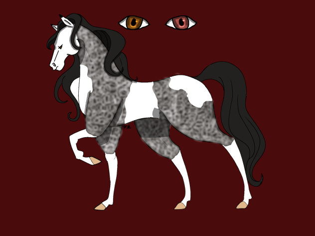 Dexter White horse design