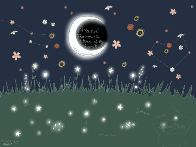 Stars and flowers