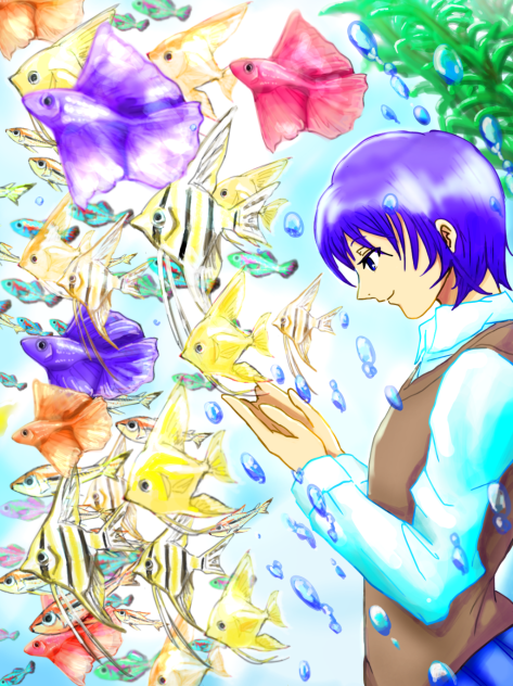 熱帯魚の明日    〜Tomorrow for  Tropical fish〜