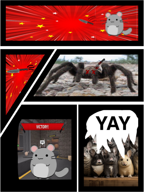 Chinchilla Victory!