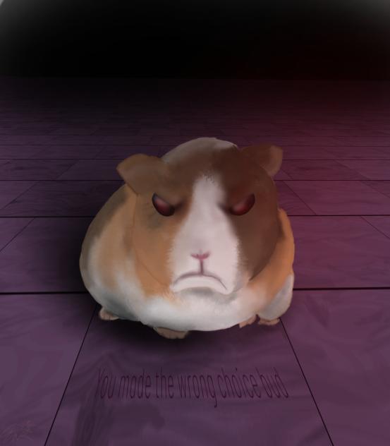 incredibly angry guinea pig (be scared)