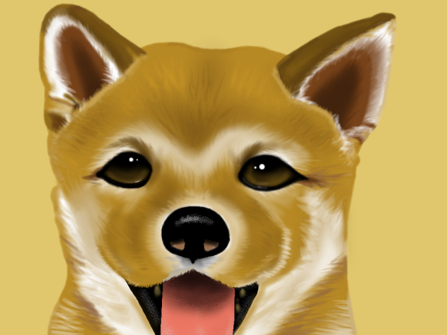 柴犬