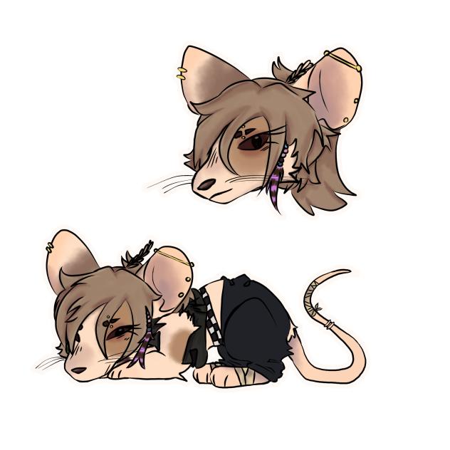 freebie comm 9