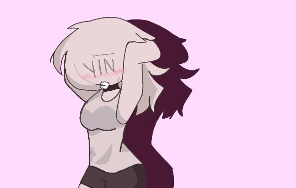 Y N