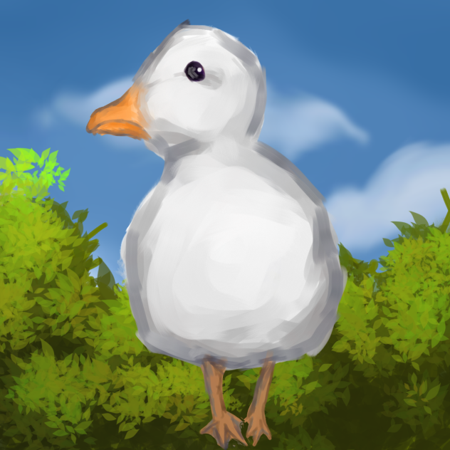 Ducky 🐤