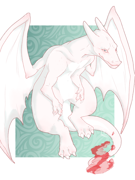 Albino Charizard