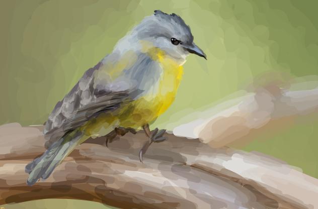 bird 1 (remake)