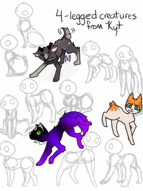 Animal Collab 🐺