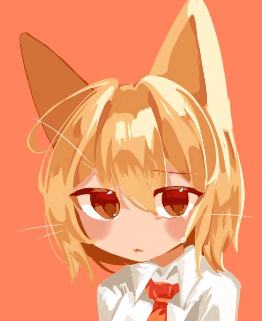 ΦωΦ ＞“ฅ ΦωΦ