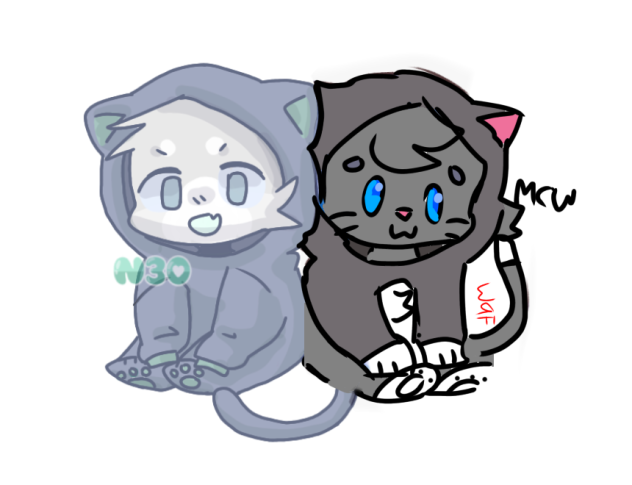 Cat in a cat collab