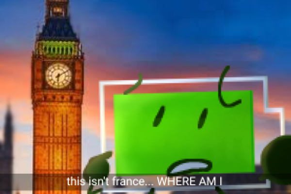 I don't think that's France