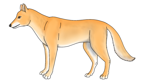 NG Singing Dog redraw 2023 render