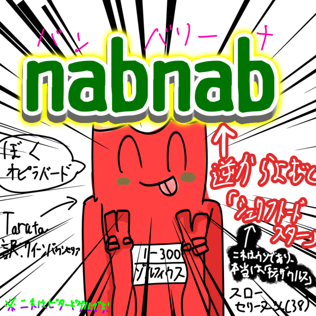 (´・ω・)ﾅﾆｺﾚ