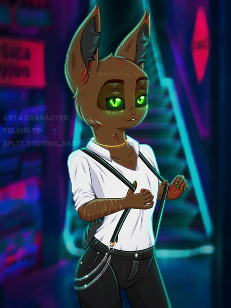 Fashion