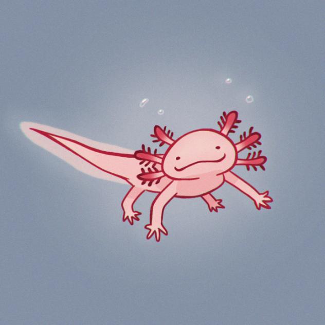 AXOLOTL.