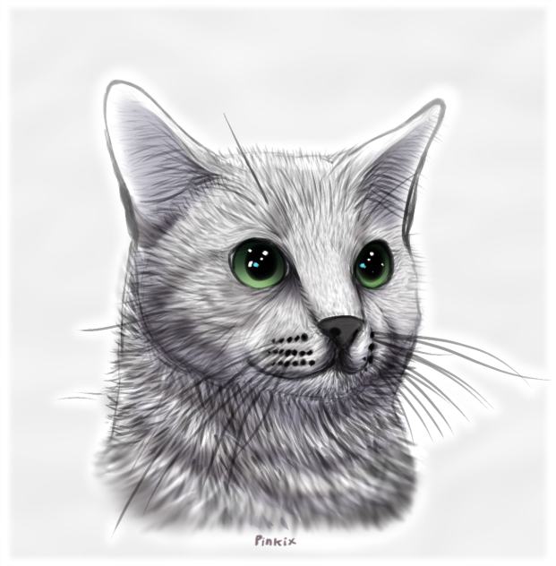 Ozzy’s portrait