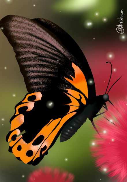 Butterfly #4