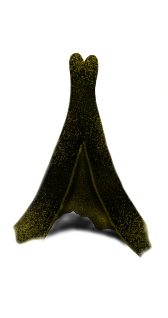my gold and black dress design