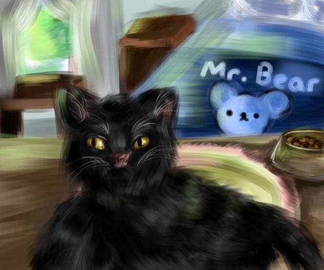 Black cat