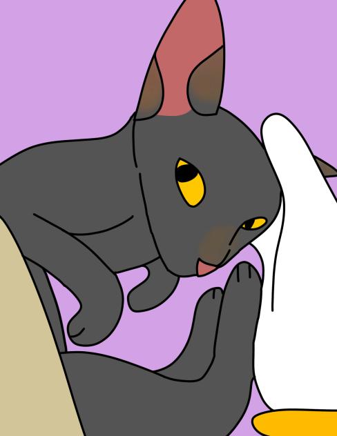 Shadow and my pet cat