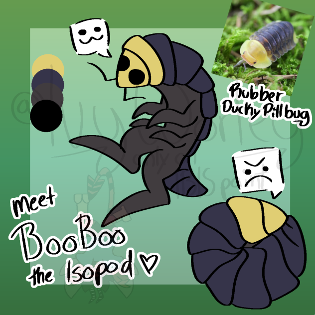 BooBoo!