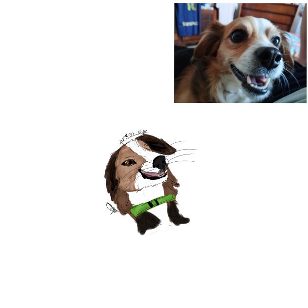 draw of my dog