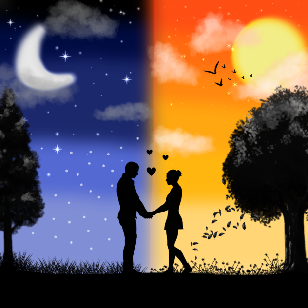 The difference between us ibisPaint