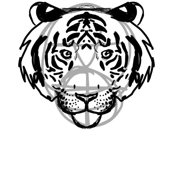 tiger sketch