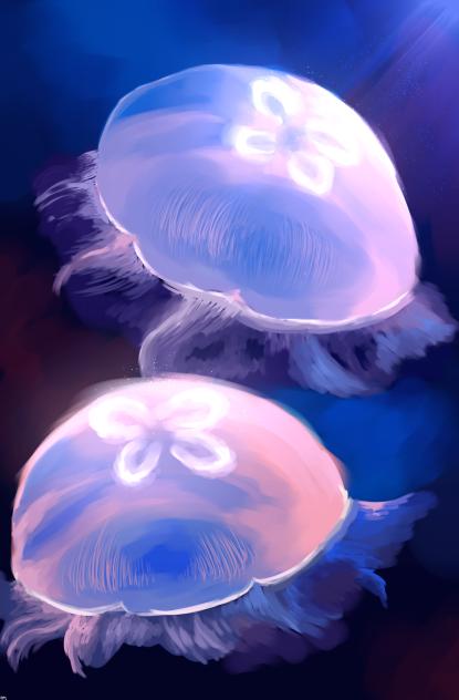 eternal light